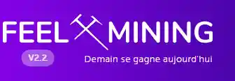 feel-mining.com